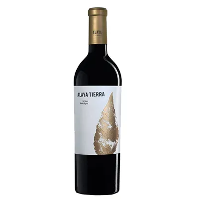 Produktbild von Atalaya Alaya Tierra 2022 | Rotwein | Spanien | 1 x 0,75 Liter