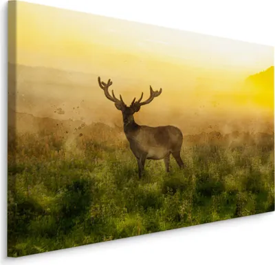 Produktbild von Fabelhafte Canvas LEINWAND BILDER 90x60 cm XXL Kunstdruck Natur Hirsch Wiese Sonne