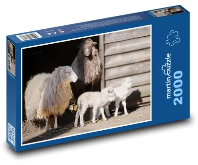 Produktbild von Puzzle 2000 Schafe mit Lämmern auf dem Bauernhof - martinpuzzle