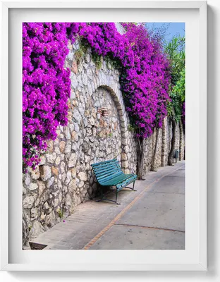 Produktbild von Straße mit Blumen auf Capri, Italien– Wandbild mit Rahmen – Gerahmtes Bild  – Wanddekoration – 60x80 cm –  Weiß Rahmen