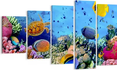 Produktbild von Bild auf Leinwand - Leinwandbild - Korallenriff - 100x60cm - Wand Bild - Wanddeko - Wandbilder - Leinwanddruck - Bilder - Kunstdruck - Wanddekoration - Leinwand bilder - Wandkunst - EG100x60-3569