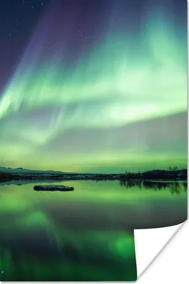 Produktbild von MuchoWow® Poster Nordlicht - See - Island - Grün - Wald - Schnee 60x90 cm - Wanddekoration