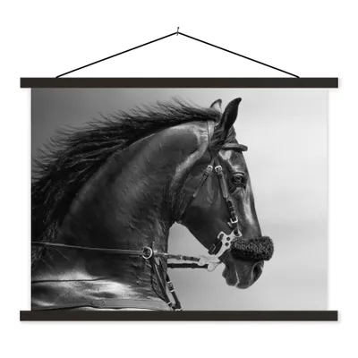 Produktbild von MuchoWow® Textilposter Pferde - Schwarz - Porträt - Tiere 40x30 cm mit schwarzem Rahmen - Dekorationen