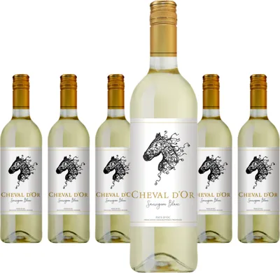 Produktbild von 6 x Cheval d'Or Sauvignon Blanc