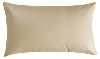 Productafbeelding van Kussens voor Rug, Buik en Zijslapers, 30 x 50 cm