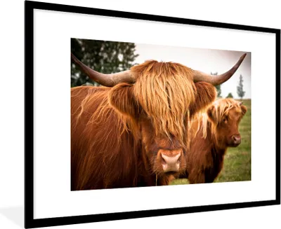 Produktbild von MuchoWow® Gerahmtes Poster Schottische Highlander - Braun - Gras 90x60 cm - Poster mit Schwarzem Bilderrahmen Wandposter Rahmen Foto Bilder - Wanddekoration - Fotos