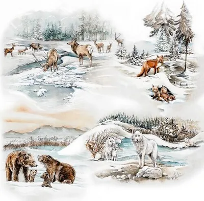 Produktbild von 20 Servietten Natural Animals in Winter - Wintertiere mit Familie 33x33cm