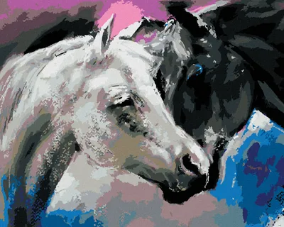 Immagine prodotto di Zuty - Dipingere con i numeri - CAVALLO BIANCO E NERO, 40x50 cm, senza cornice e senza tela tesa