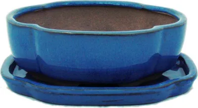 Zdjęcie produktu dla miska bonsai ze spodkiem rozmiar 2 - niebieska - haitang/owalna - model i5 - dl. 14,5cm - szer. 12,5cm - wys. 5cm