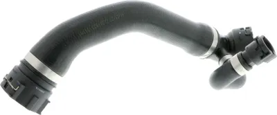 Image de VAICO Tuyau de radiateur Q+, qualité d'origine
