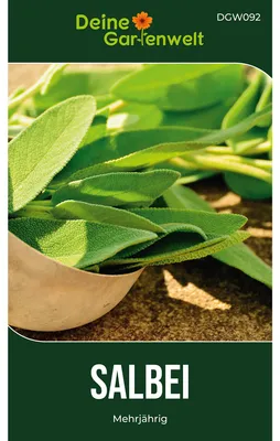 Produktbild von Deine Gartenwelt Salbei Salvia officinalis - Saatgut für ca. 40 Pflanzen