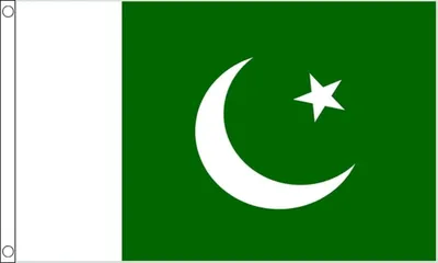 Produktbild von Flagge Pakistans, 5 x 3 Fuß, aus 100% Polyester mit Ösen