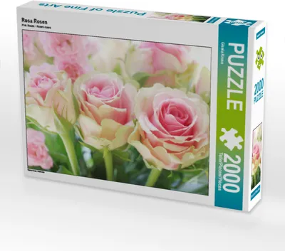 Produktbild von CALVENDO Puzzle Rosa Rosen | 2000 Teile Lege-Größe 90x67cm Foto-Puzzle für glückliche Stunden