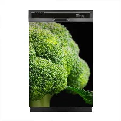 Produktbild von Magnete Dekorative 60x80 cm Küche Magnetmatte Spülmaschine - Gemüse Brokkoli