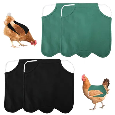 Image de Lot de 4 supports pour poulets avec élastique