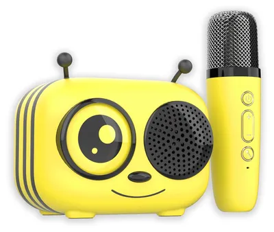 Karaoke-Set: Bluetooth-Lautsprecher & Mikrofon, 8 Std. Akku