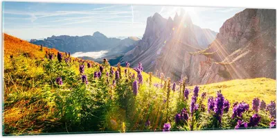 Produktbild von Bilder auf glas - Berge Wiese Blumen - 120x50cm - Glasbilder - Wandbilder - Kunstdruck - zum Aufhängen bereit - Wanddekoration aus Glas - Glas Bilder - Wandbild auf Glas - Einteilig - GAB120x50-4008