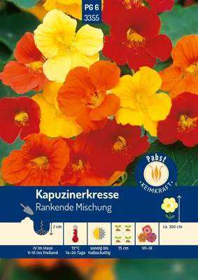 Produktbild von Pabst Keimkraft - Kapuzinerkresse Rankende Mischung Samen - 173355