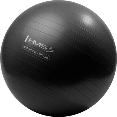 Immagine prodotto di Palla da ginnastica nera da 65 cm - Anti-scoppio, antiscivolo