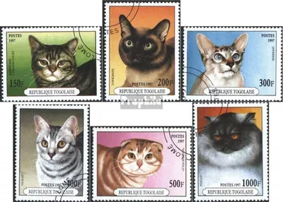 Produktbild von Briefmarken Togo 1997 Mi 2537-2542 (kompl.Ausg.) gestempelt Katzen