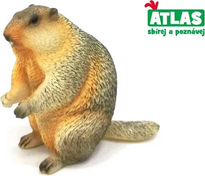 Zdjęcie produktu dla A - Figurka świstaka 6,5 cm