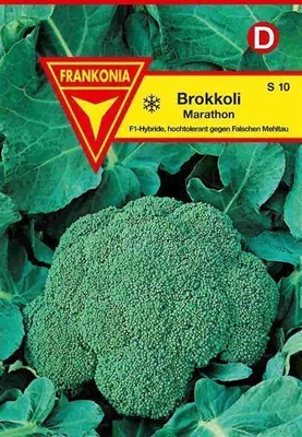 Produktbild von Brokkoli Marathon F1