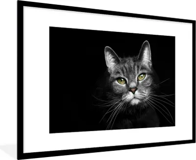 Produktbild von MuchoWow® Gerahmtes Poster Haustiere - Katze - Tiere - Schwarz - Weiß 90x60 cm - Poster mit Schwarzem Bilderrahmen Wandposter Rahmen Foto Bilder - Wanddekoration - Fotos