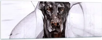 Produktbild von Bilder auf glas - Hund Abstraktion - 90x30cm - Glasbilder - Wandbilder - Kunstdruck - zum Aufhängen bereit - Wanddekoration aus Glas - Glas Bilder - Wandbild auf Glas - Einteilig - GAB90x30-3999