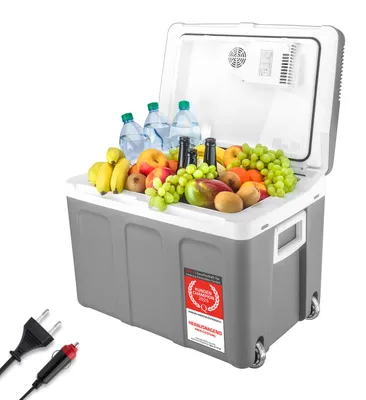 Produktbild von TZS First Austria - Kühlbox 45L elektrisch 12V 230V Anschluss für Auto & Steckdose - Thermoelektrisch - Grau