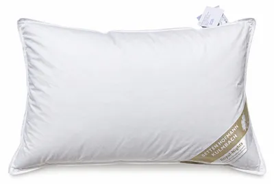 Produktbild von Betten Hofmann Daunenkissen Kopfkissen Kuschelkissen 40x60 100% neue Daunen 150 g waschbar
