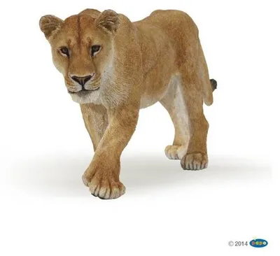 Image de Papo 50028 Lionne figurine papo