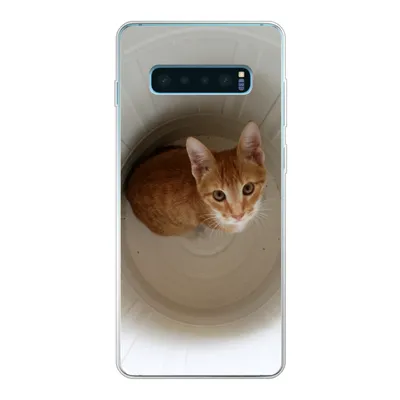 Produktbild von MuchoWow® Handyhülle Schutzhülle Hülle für Samsung Galaxy S10 Plus Katze - Mülleimer - Weiß Silikon Softcase Handy Hülle - Schutzhülle