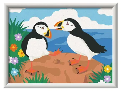 Produktbild von Ravensburger CreArt Papageien-Taucher
