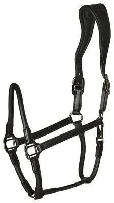 Produktbild von Catago Equestrian Lederhalfter Schwarz X-Full