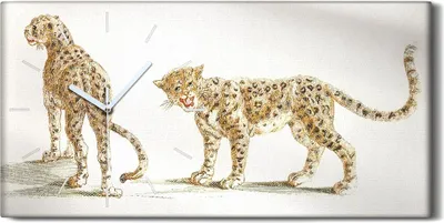 Produktbild von Dekor Leinwand Uhr Wandbilder 60x30 Zeichnen von Tieren Katzen Leoparden - weiße Hände