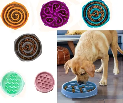 Produktbild von Outward Hound Fun Feeder Slo Bowl, Größe:ø 21, Farbe:grau