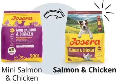 Zdjęcie produktu dla Sucha karma dla psów Josera Mini Adult Salmon & Chicken 10 kg, łosoś i kurczak