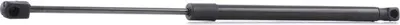 Produktbild von RIDEX 219G0377 Gasfeder Heckklappendämpfer für LANCIA YPSILON (843) 480mm