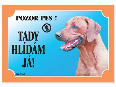 Image de Tableau Je regarde ici ! Rhodesian Ridgeback 1pc