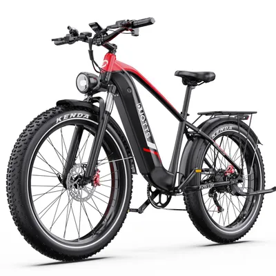 Produktbild von E-Bike Cityrad F26lite 48V 18Ah 864Wh 100km Reichweite 20x4,0Reifen7Gang Elektrisches 7 Gang Shimano Schaltwerk, Kettenschaltung, Heckmotor, 864 Wh