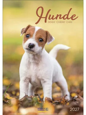Image de Chiens 2027