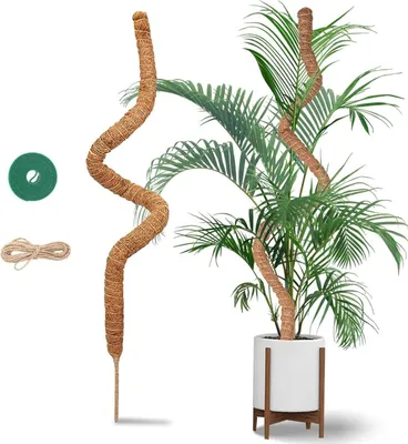 Obrázok produktu pre Monstera Moss Rod 120 cm, flexibilná kokosová podpora rastlín, pre popínavé rastliny, s 2 m šnúrou