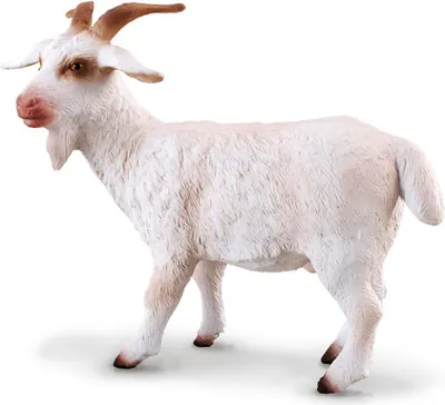 Immagine prodotto di COLLECTA Capra