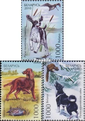 Produktbild von Briefmarken Weißrussland 2010 Mi 837-839 (kompl.Ausg.) postfrisch Jagdhunde