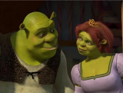 Produktbild von Gemälde BY NUMBERS MIT RAHMEN Gemälde Shrek und Fiona 50x40 cm
