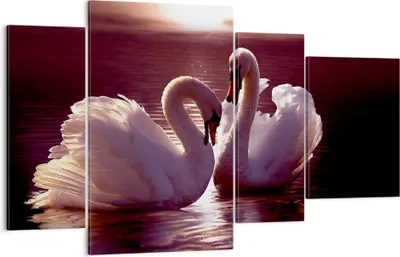 Produktbild von Bild auf Leinwand - Leinwandbild - Schwäne Landschaft Wasser - 120x70cm - Wand Bild - Wanddeko - Leinwanddruck - Bilder - Kunstdruck - Wanddekoration - Leinwand bilder - Wandkunst - DL120x70-0223