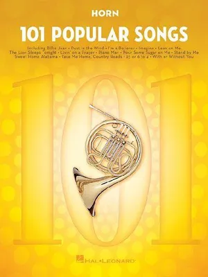 Produktbild von 101 Popular Songs