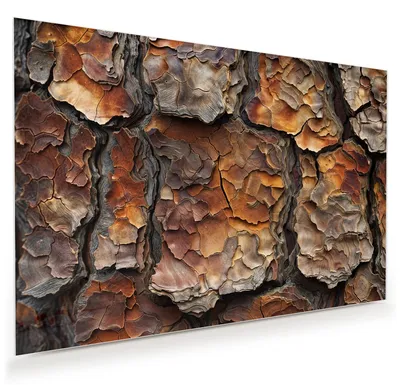 Produktbild von Glasbild 45x30cm in XXL für Wohnzimmer, Schlafzimmer Motiv Baumrindenstruktur