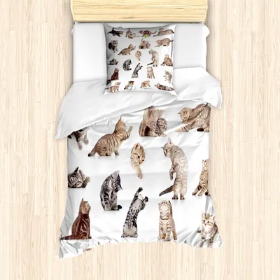 Produktbild von ABAKUHAUS Katze Mantele, Lustige Spielerische Katzen Bild, Milbensicher Allergiker geeignet mit Kissenbezügen, 135 cm x 200 cm - 80 x 80 cm, Braun Schwarz Weiß