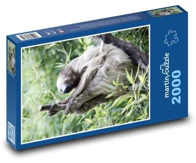 Obrázek produktu pro martinpuzzle - Puzzle 2000 - Lenochod